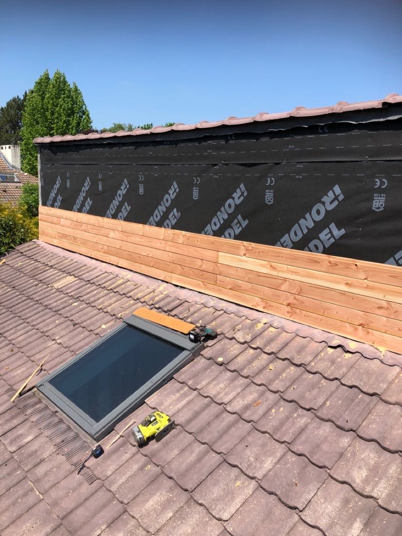 IMG_3635